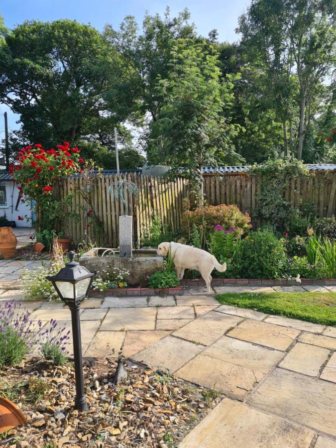 Brookvale Bed and Breakfast Wellingtonbridge Exteriör bild