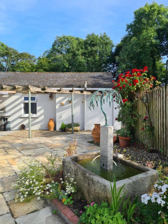 Brookvale Bed and Breakfast Wellingtonbridge Exteriör bild